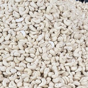 Wholesale High Quality Organic Roasted Cashew Santigo In Vietnam W180 240 320 Premium Quality Exported To Eu, Middle East - Product Image 1