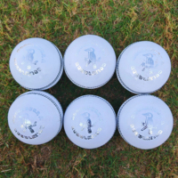 Nouvelles balles de cricket en cuir de qualité supérieure, cousues à la machine, 2 pièces