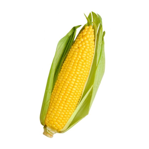 Кукуруза для употребления животных и корма для животных по оптовой цене