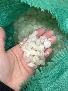 Approvisionnement en vrac naturel et authentique d'écailles de poisson disponible pour les acheteurs internationaux adaptés à l'exportation et aux grosses commandes en gros - Product Image 6