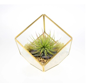 Hot Selling <b>Vintage</b> New Arrival Custom Terrarium <b>Vase</b> Planter Decorate in Metal Border for Home & Office Decor. - Product Image 5
