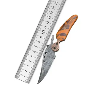 Vente en gros 2024 Nouveau design Couteau de camping en plein air à manche en bois Mini couteau en acier damas adapté au camping en plein air et à la chasse