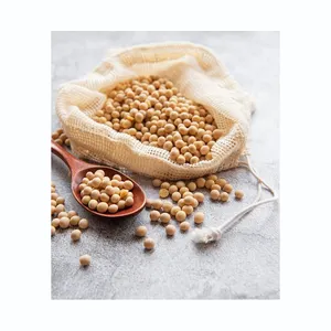 Good quality soya bean for White Hilum oil , soybean , Soybean Seeds with reasonable price in VietNam FREE TAX