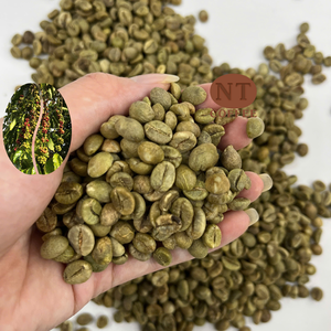 เมล็ดกาแฟโรบัสต้า 100% แบบแห้ง ยี่ห้อ Bold Heritage เวียดนาม กาแฟ NT บรรจุภัณฑ์แบบกำหนดเอง อายุการเก็บรักษา 3-5 ปี จากฟาร์ม - Product Image 1