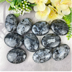 PIERRES DE PALMIER LARVIKITE ÉTONNANTES PIERRE DE CRISTAL FLASHY PALMES/POCHE GUÉRISON PIERRE DE PALMIER LARVIKITE MÉTAPHYSIQUE GRANDE PIERRE GEMME - Product Image 6