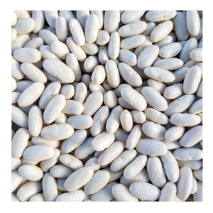 Haricots blancs secs - Qualité supérieure, style italien, non-OGM - Paquet de 1 kg, 5 kg, 10 kg - Product Image 5