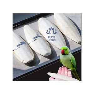 MEILLEUR PRIX 2023 Os De Seiche Séché De Calmar Pour Oiseau Perroquet Exportation Produit fabriqué au Viet Nam De Blue Lotus Farm - Product Image 1