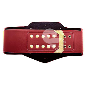 เข็มขัดแชมป์มวยปล้ำเข็มขัดถ้วยรางวัลและรางวัลสัญลักษณ์สูงสุดของชัยชนะและเข็มขัดแชมป์ยอดเยี่ยม - Product Image 5