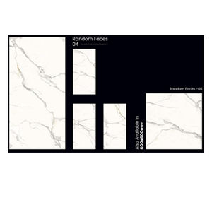 Azulejos de porcelana de pared y suelo Satuario Mexy a precio asequible de fabricante indio - Product Image 4