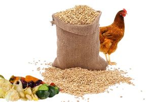 Farine de soja sans OGM de qualité 1 à haute teneur en protéines, aliments pour animaux séchés frais, processus de séchage naturel en vrac comestible - Product Image 4