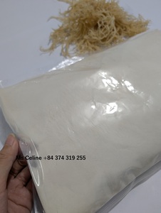POLVO ALTAMENTE NUTRITIVO | Polvo de seamoss de alta calidad de Vietnam con precio competitivo - Product Image 5