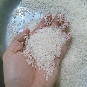 Arroz Japonica de Alta Calidad al por Mayor de Vietnam para Supermercados, Servicios de Alimentos y Compradores Internacionales - Product Image 1