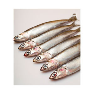 Poisson d'anchois frais de HAUTE QUALITÉ MEILLEUR PRIX SPRATS - Product Image 4