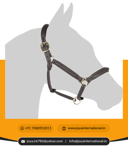 Licou de cheval en cuir personnalisé de haute qualité, vente en gros - Product Image 6