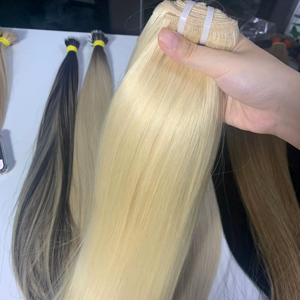 Machine d'extension de cheveux humains vietnamiens bruts de haute couture trame blonde ton clair #613 fournisseur en gros droite 60cm - Product Image 1