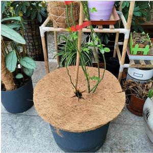 100% PRODUITS BIODÉGRADABLES COIR DIS COIR MULCH MAT POUR LA PROTECTION DES ARBRES DU BLEU LOTUS VIETNAM - Product Image 2