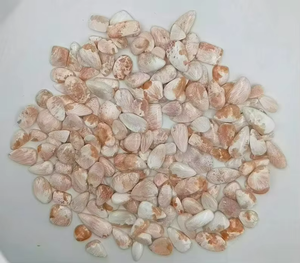 พลอยสโคเลไซต์ธรรมชาติทรงหลังเบี้ย ขัดเงาอย่างพิเศษ สำหรับช่างทำเครื่องประดับ  ชุดพลอยสโคเลไซต์แบบหลวม - Product Image 2