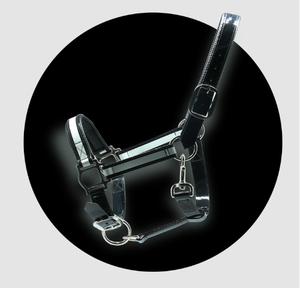 Harnais de cheval anglais en PVC imperméable et réfléchissant - Product Image 5