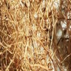 Fibra de coco natural de alta calidad para colchones, cepillos, cuerdas, esteras para cultivo, fibra de coco para mantillo, venta al por mayor de La India - Product Image 2