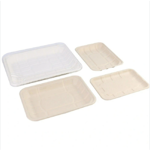 Vaisselle <span class=keywords><strong>jetable</strong></span> bon marché d'usine de bagasse de canne à sucre <span class=keywords><strong>plateau</strong></span> de viande de <span class=keywords><strong>repas</strong></span> de restauration rapide biodégradable pour le déjeuner - Product Image 3