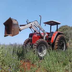 Compre Massey Ferguson 291 Tractor 4WD Equipo agrícola usado para agricultura con entrega rápida y en stock ahora para venta al por mayor - Product Image 3