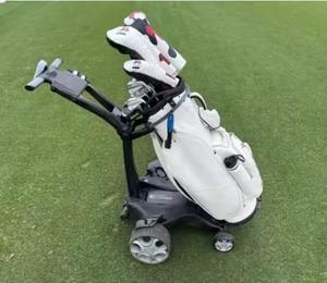 Carrito de Golf Eléctrico con Construcción de Aluminio Resistente y Batería de Litio - Product Image 1
