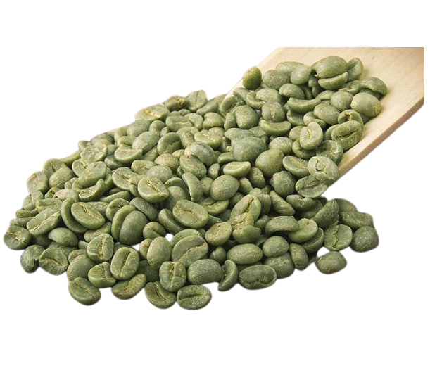 Кофе в зернах Robusta из Вьетнама, 100% чистый органический кофе высокого класса, зеленый, оптовая цена, 12.5% Max 0.4% Max A +