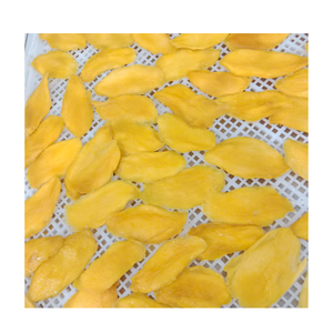 Délicieuse mangue séchée du Vietnam, douce, moelleuse et 100% naturelle, disponible en vrac, sacs à fermeture éclair ou emballage OEM personnalisé - Product Image 4