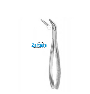 Fórceps de Extracción Dental de Acero Inoxidable de Alta Calidad WITZEL para Raíces Inferiores fig 224 Instrumentos Dentales - Product Image 3