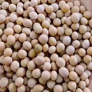 Soja Deshidratada Sin OMG, Rica en Proteínas, 10 kg, Bélgica - Product Image 1