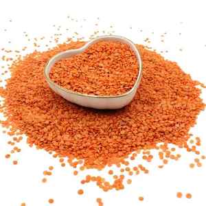 Organic Red <b>Lentil</b> Protein Plant-Based Powder Food Grade 100% Pure for B2B Food Processing & Industrial Manufacturing - Product Image 5