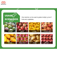 Fruit Persimmon Jackfruit Kiwiberry Bergamot Sorteer- en sorteermachine Kleine Rambutan Grapefruit Avocado Roestvrij Staal Groenten