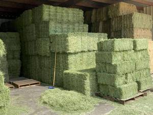 หญ้าอัลฟาฟาหญ้าอัลฟาฟาหญ้าแห้งสำหรับเลี้ยงสัตว์ - Product Image 5