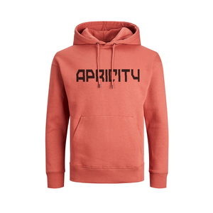 Sweat-shirt unisexe d'hiver personnalisé avec logo, en molleton de coton épais, style streetwear, vente en gros, marque privée, OEM - Product Image 3