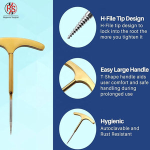 Elevador de Tornillo para Extracción de Raíces de Alta Calidad, Elevador de Tornillo para Extracción de Raíces de Acero Inoxidable - Product Image 5