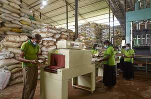 Origine sri lankaise 100% Briquettes de coco biodégradables naturelles pour serres, jardins et fermes hydroponiques - Product Image 4