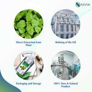 Aceite esencial de Melissa 100% puro y natural a granel al por mayor con embalaje personalizado a bajo precio - Product Image 4