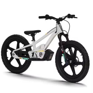 Offre Spéciale : Moto Électrique Équilibrée Puissante EE 1.20 Disponible à la Vente - Product Image 2