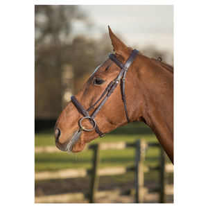 Équipement pour chevaux glaçure & Gordon-bride surélevée de luxe-marron - Product Image 2