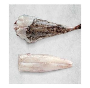 Pescado Monja Congelado - Proveedor Mayorista de Pescado Monja - Product Image 2