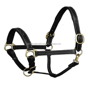 Licou de cheval rembourré en cuir véritable, cousue fantaisie, fabricant de licou de cheval indien, équipement équestre, licou fantaisie - Product Image 1