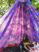 Tente de réception bohème violette pour décoration de mariage, drapage de lit extérieur, espace de méditation, toile de fond pour glamping et jardin hippie