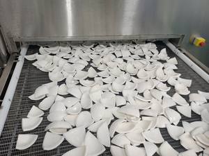 Vente en gros de noix de coco congelée fraîche et délicieuse transformée IQF emballée en vrac pour l'industrie alimentaire - Product Image 6