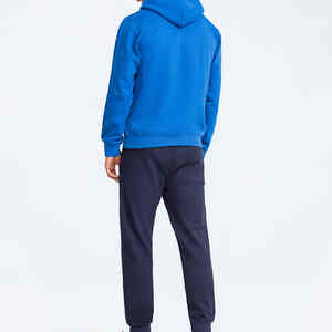 Sudadera con capucha y serigrafía personalizada 450 GSM para hombre, ropa informal de Algodón 100% con cuello con capucha y logotipo frontal - Product Image 6