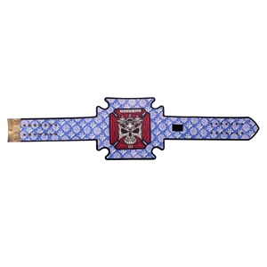 WWE เข็มขัดแชมป์โลกเฮฟวี่เวทสีทองขนาดใหญ่ - Product Image 5