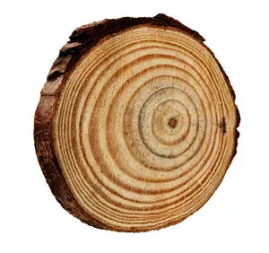 Rodajas de madera y redondos para manualidades ¡Compre ahora! Juego de 4 posavasos de madera personalizados con hueso hecho a mano e incrustaciones de latón hechas en la India - Product Image 1