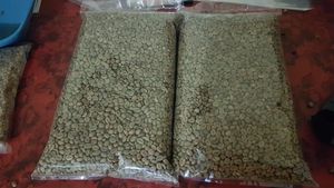 Granos de café tostado Robusta de Colombia en bolsas de 50kg - Product Image 3