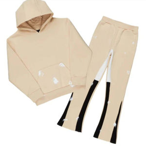 Conjunto Deportivo Informal de Felpa con Capucha Estampada de Alta Calidad para Niños, Unisex, Invierno, Cálido, 2 Piezas, 100% Algodón, Transpirable, Secado Rápido - Product Image 1