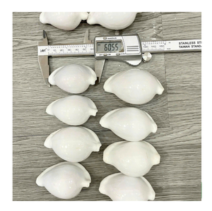 White Cowry Cowrie Seashell Egg-Style Animal Shell para decoración del hogar DIY con datos de oro pulido 99 - Product Image 4