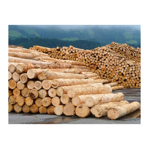 Troncos de abeto Douglas de alta calidad disponibles a precio de fábrica para compradores mayoristas - Product Image 1